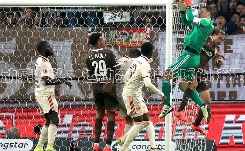 bsport体育最新官网入口