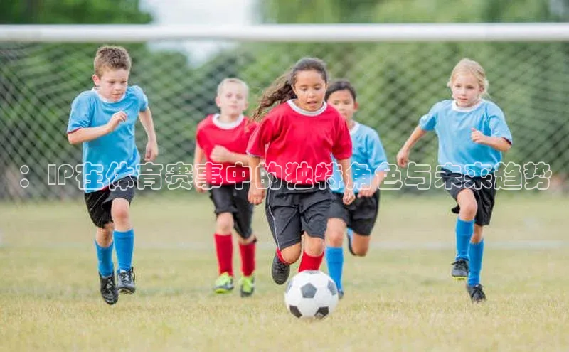 b体育在线登录网页版