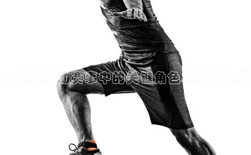 B·体育APP登录入口