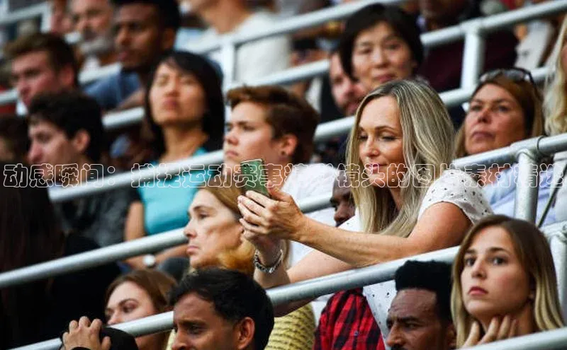 Bsports在线登录入口